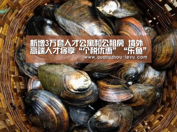 新增3万套人才公寓和公租房 境外高端人才将享“个税优惠”“乐鱼”(图1) 乐鱼