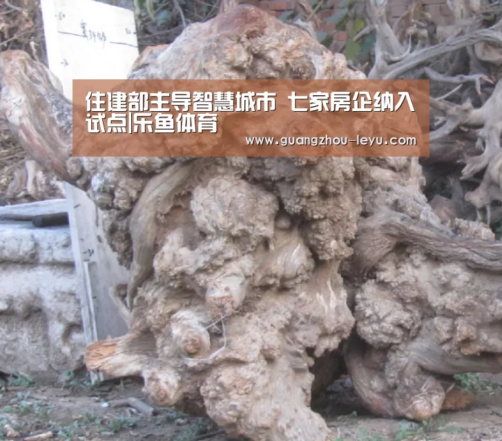 乐鱼体育