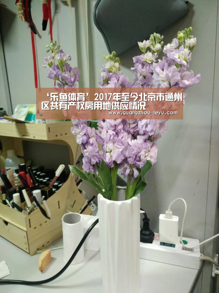 ‘乐鱼体育’2017年至今北京市通州区共有产权房用地供应情况(图2) 乐鱼体育