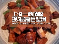 上海一商场惊现5层高巨型滑梯 盘旋蜿蜒好似巨龙-乐鱼体育(图1) 乐鱼体育